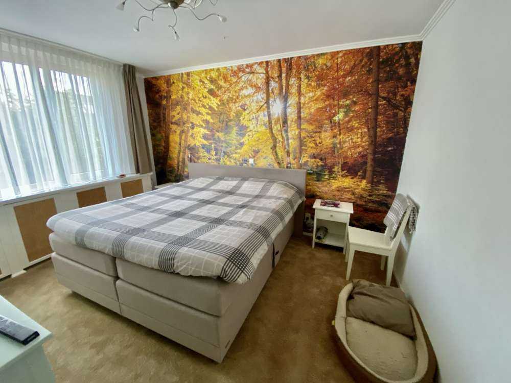 Jesień w dzikim lesie