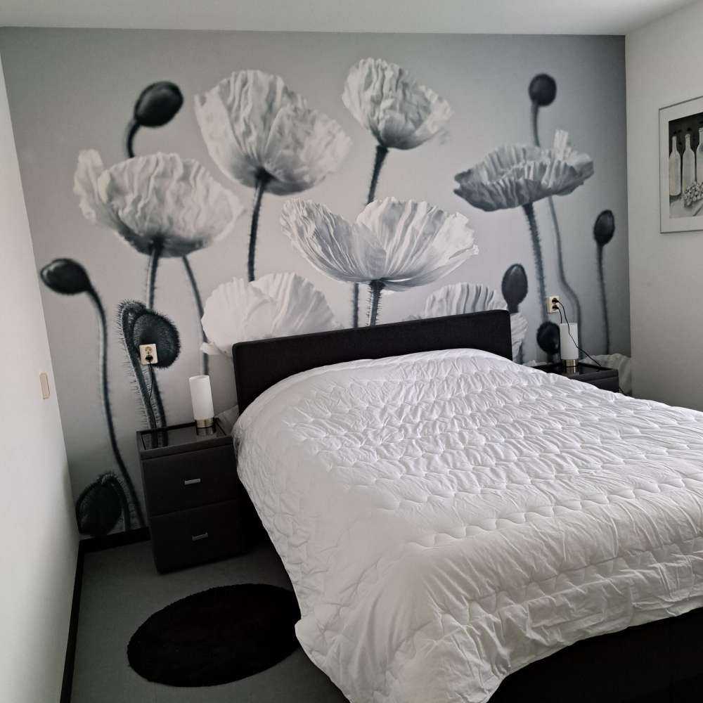 Maki w niebieskim odcieniu