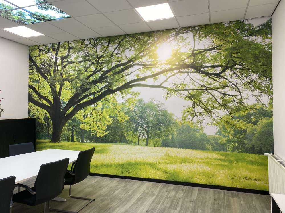 Piękne drzewo z zieloną trawą