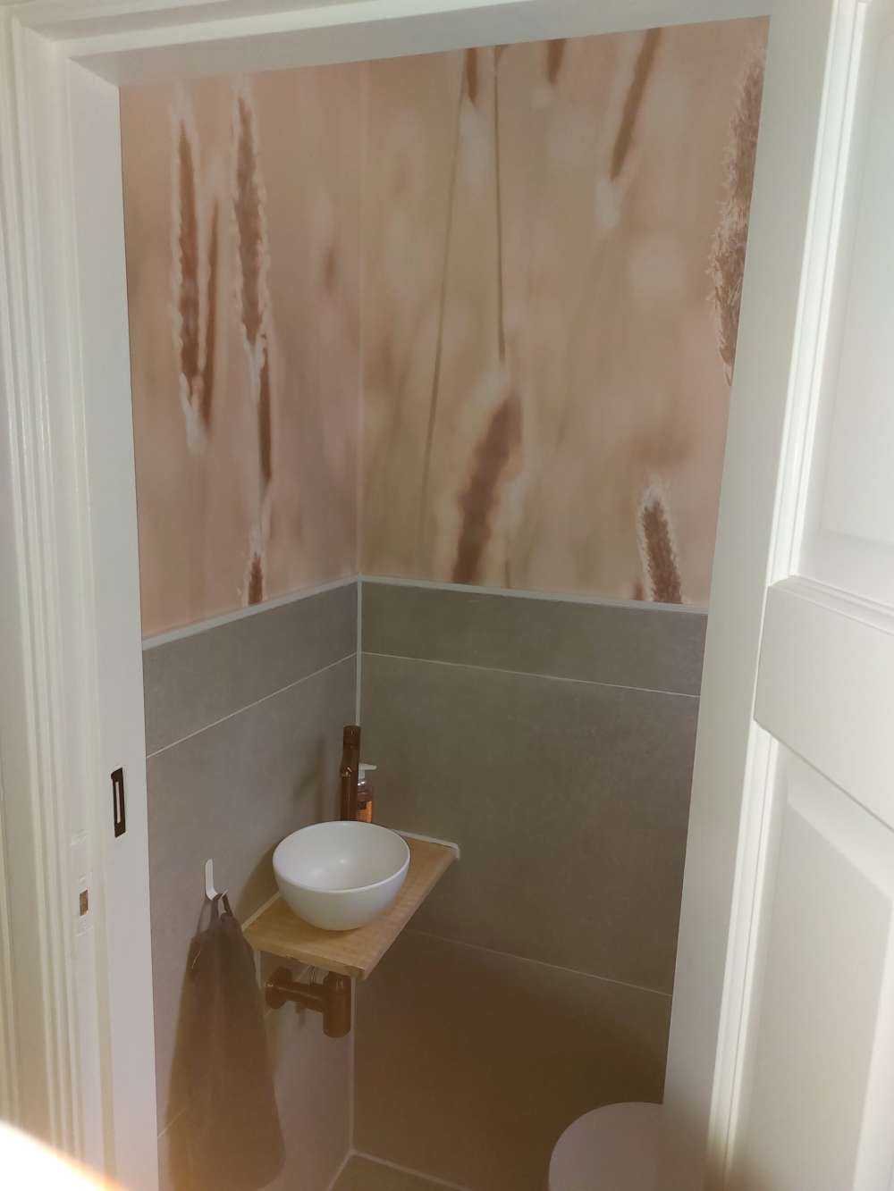 Światło słoneczne przez łąkę