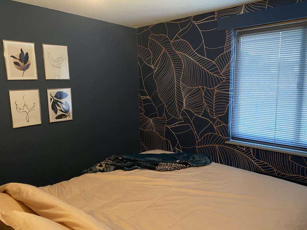 Niebieskie liście bananowca