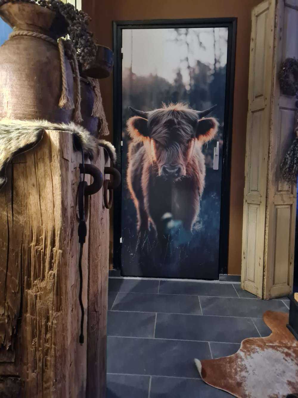 Młody szkocki wyżyn 