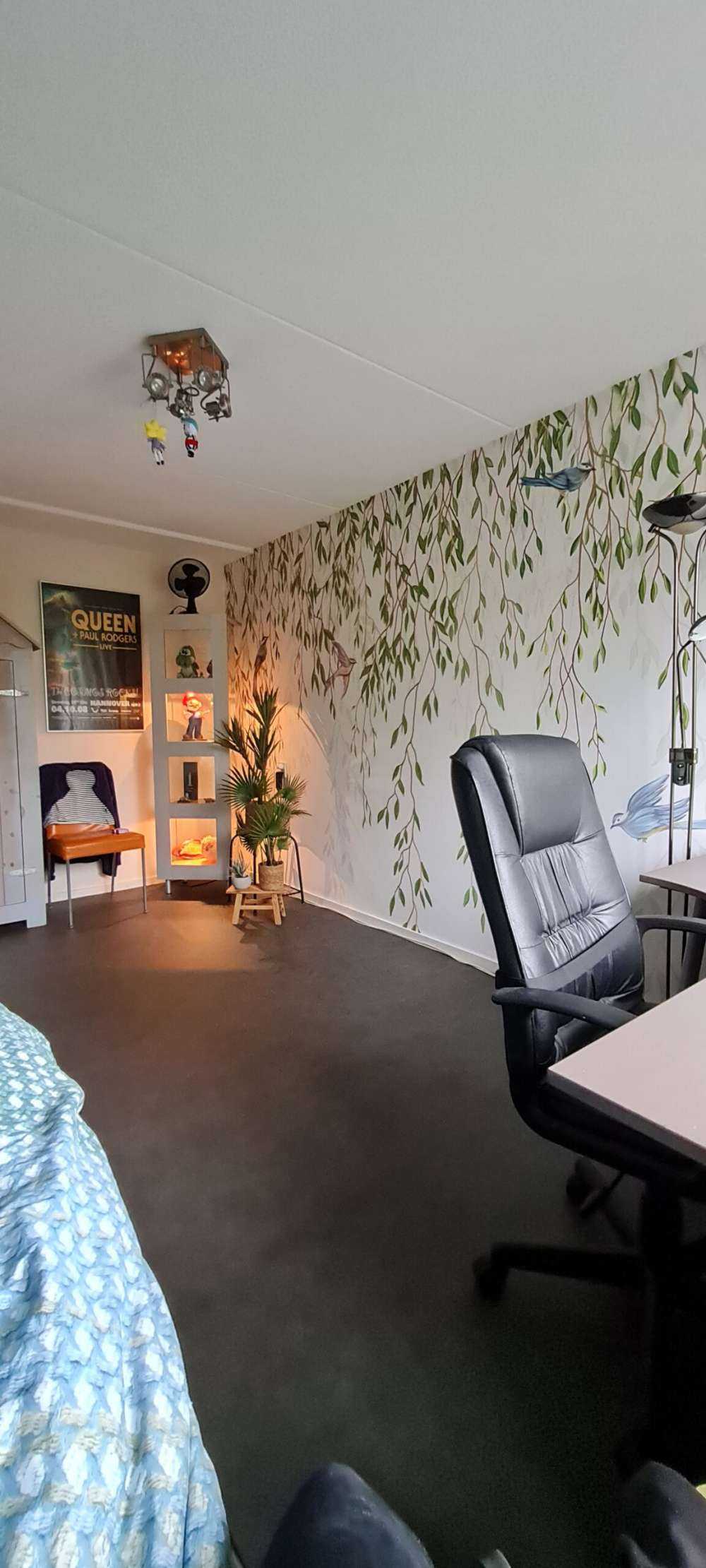 Zwisające gałęzie i ptaki