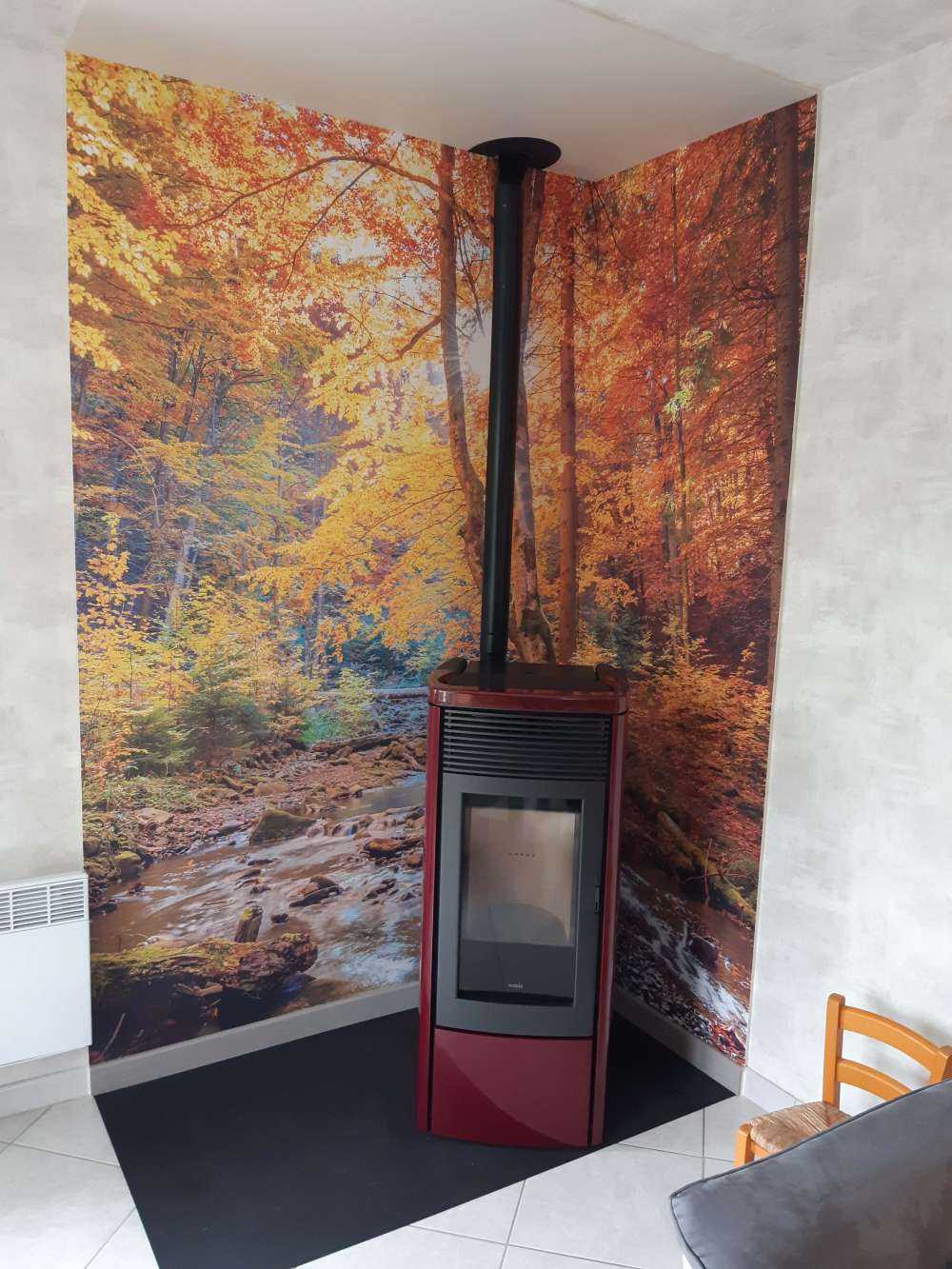 Jesień w dzikim lesie