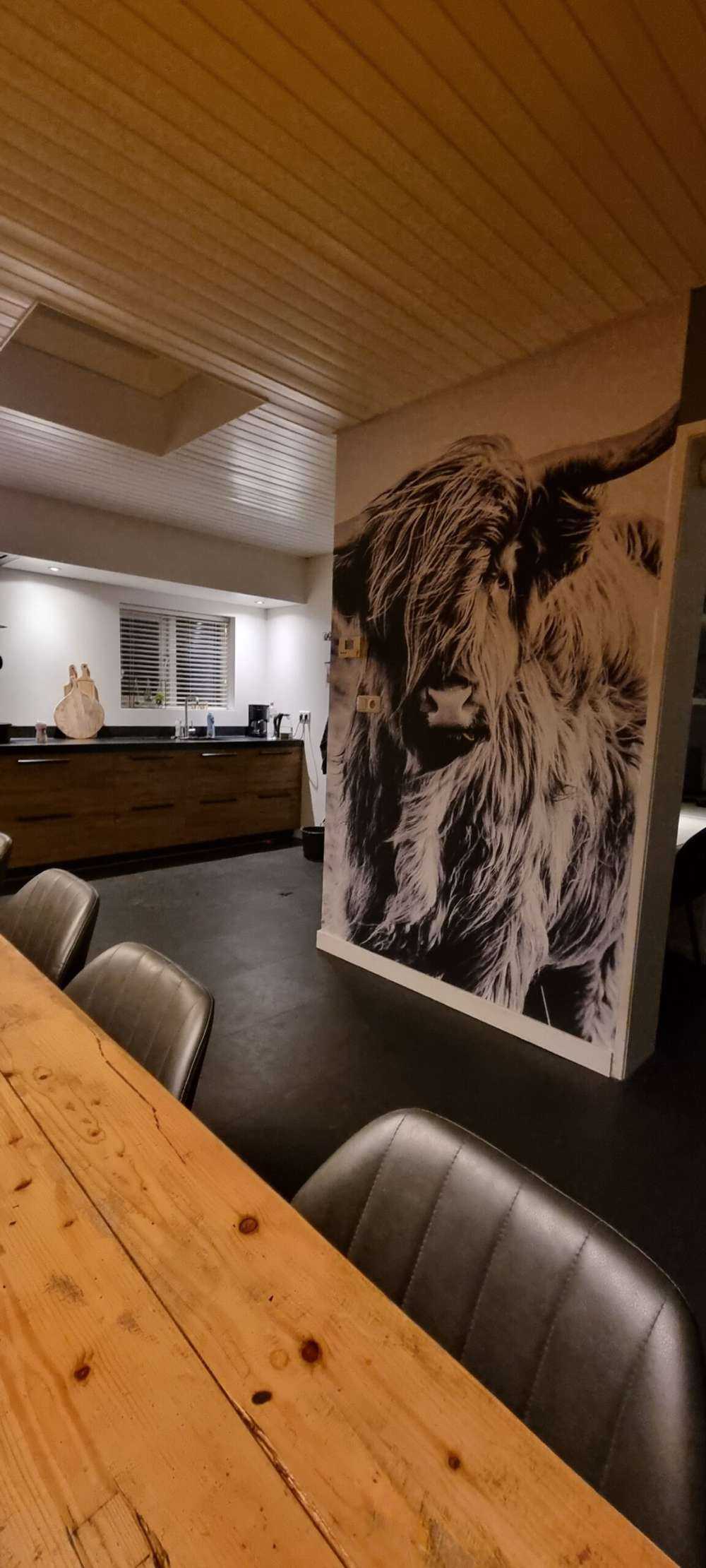 Szkocka rasa wyżynna w czerni i bieli