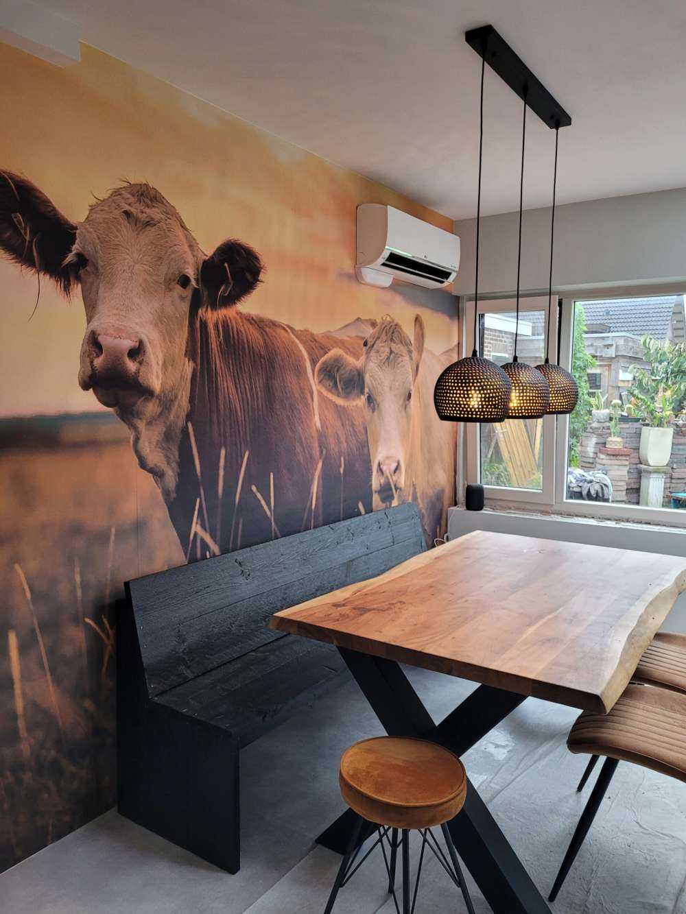 Krowy w wieczornym słońcu