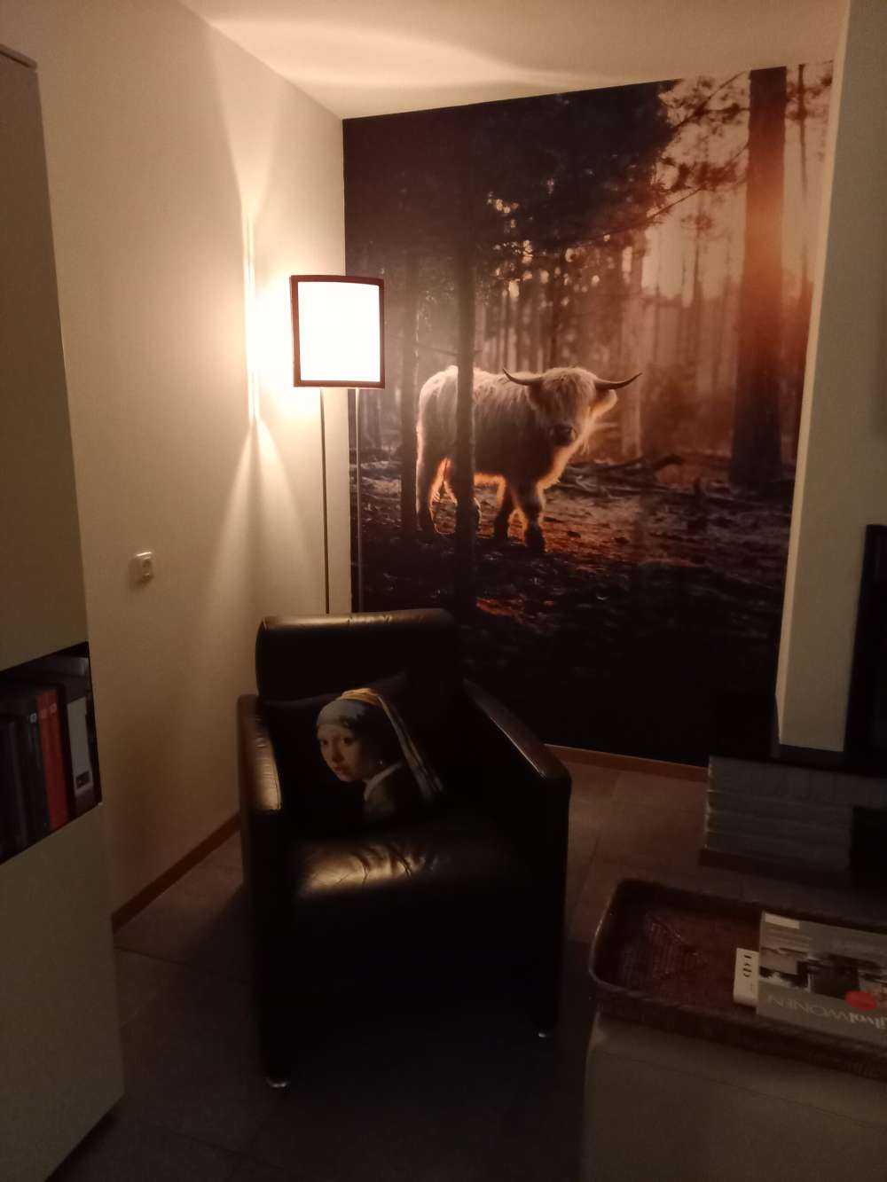 Biały szkocki wyżyn