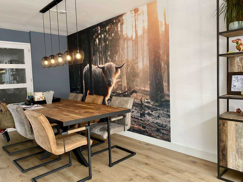 Biały szkocki wyżyn