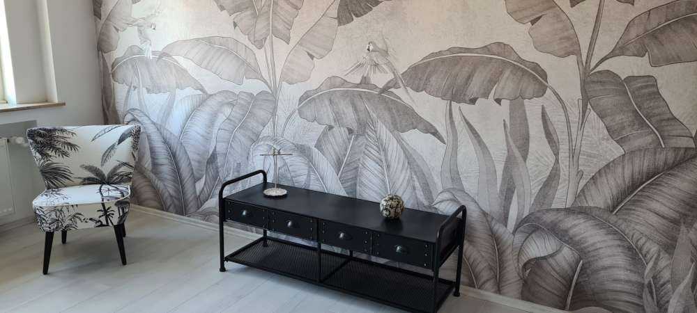 Tropikalne liście na betonie