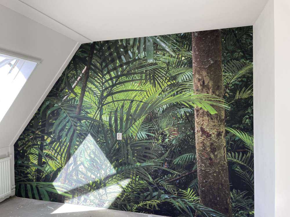 Tropikalne lasy deszczowe