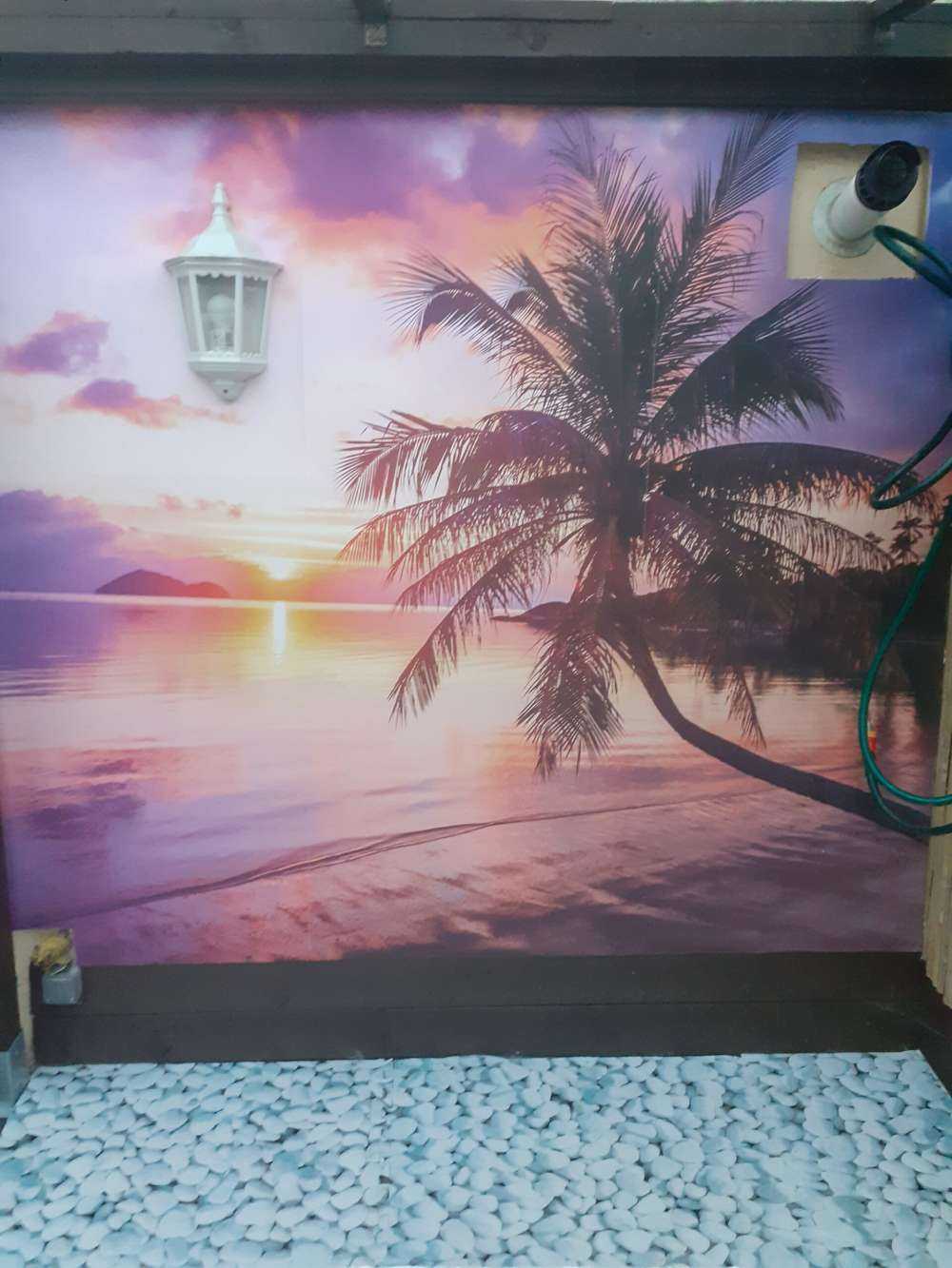 Palma przy zachodzie słońca