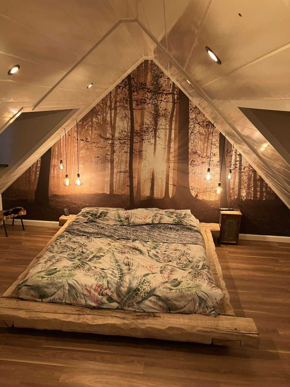 Słońce w mglistym lesie