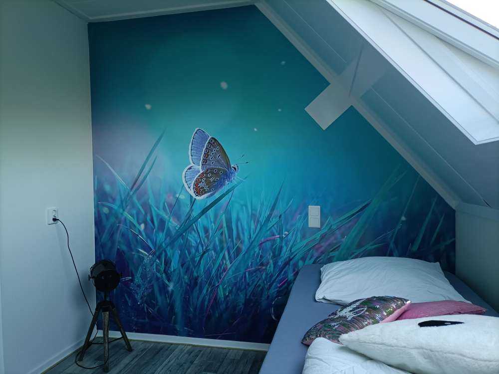 Motyl w porannej rosie