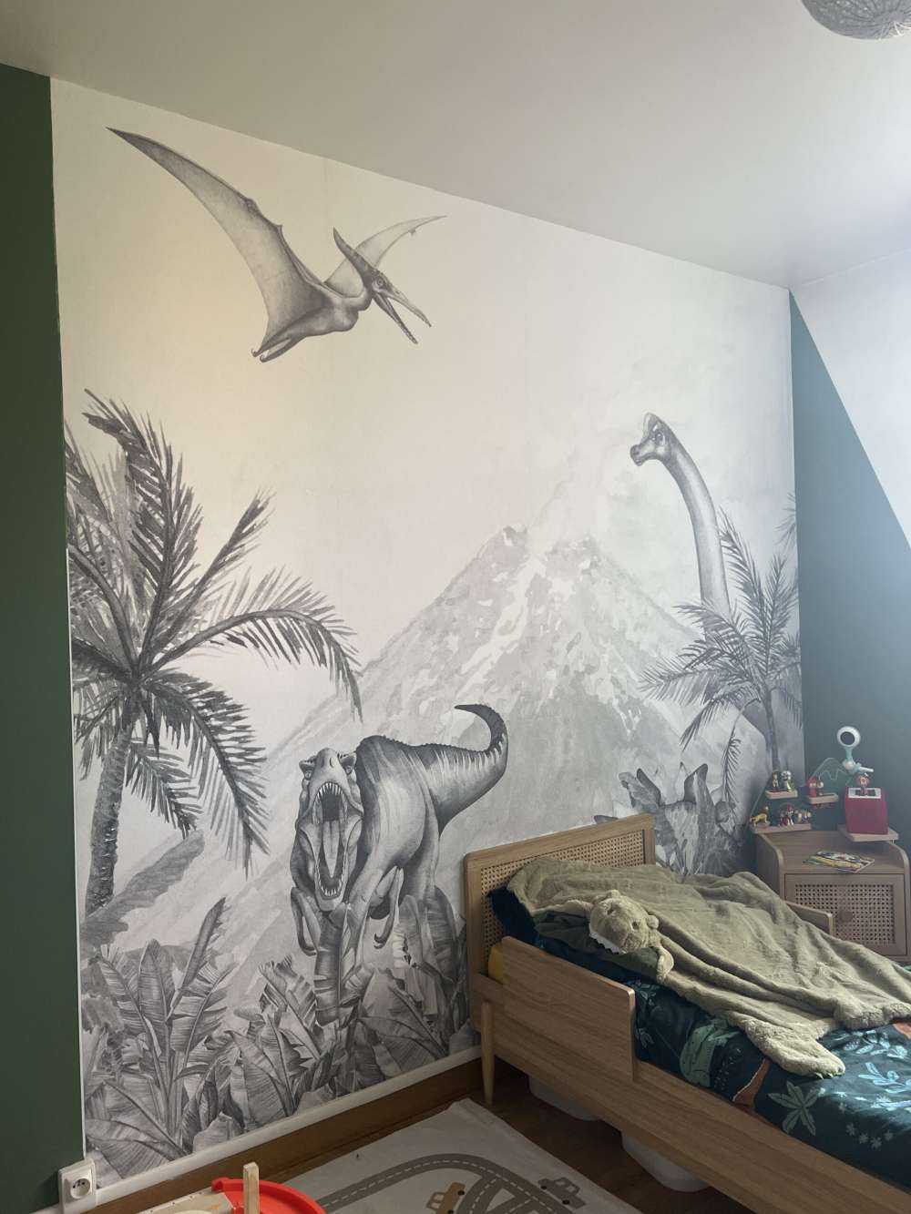 Dinozaury w czerni i bieli