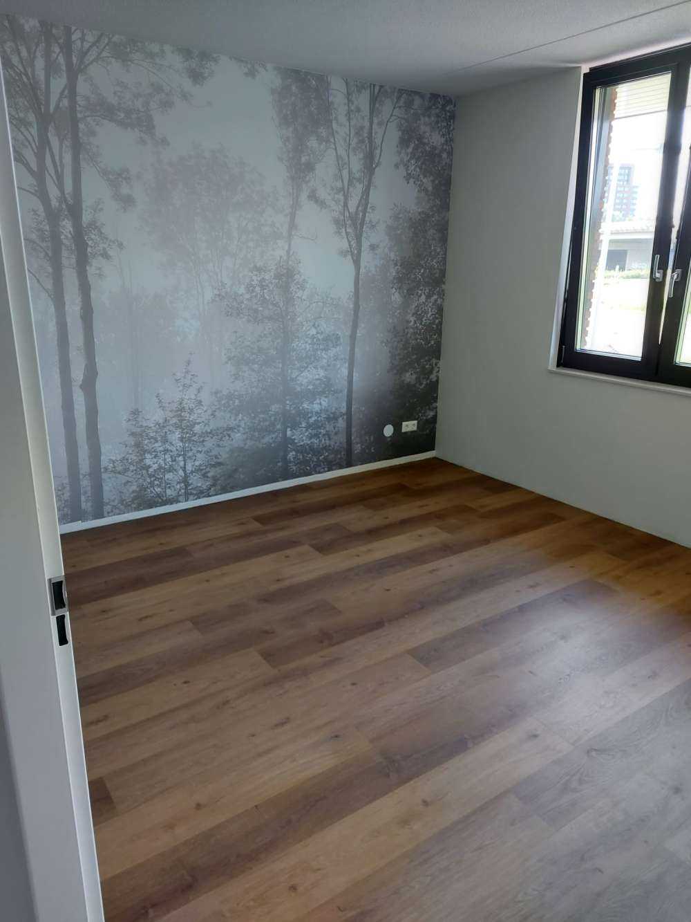 Gęsta mgła w lesie