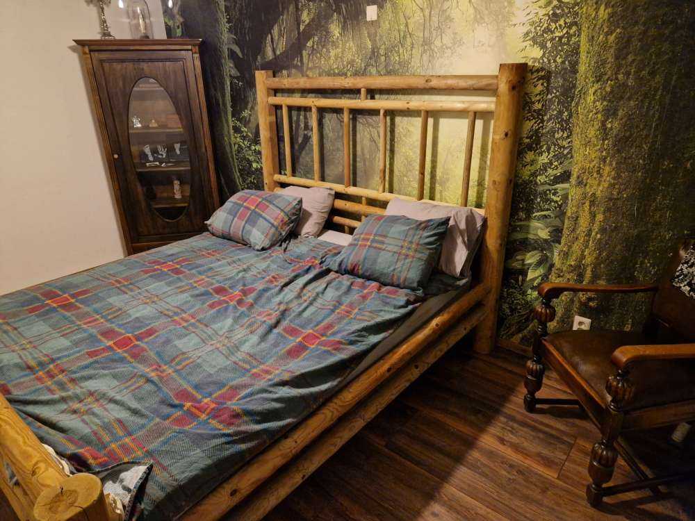 Dżungla z promieniami słońca