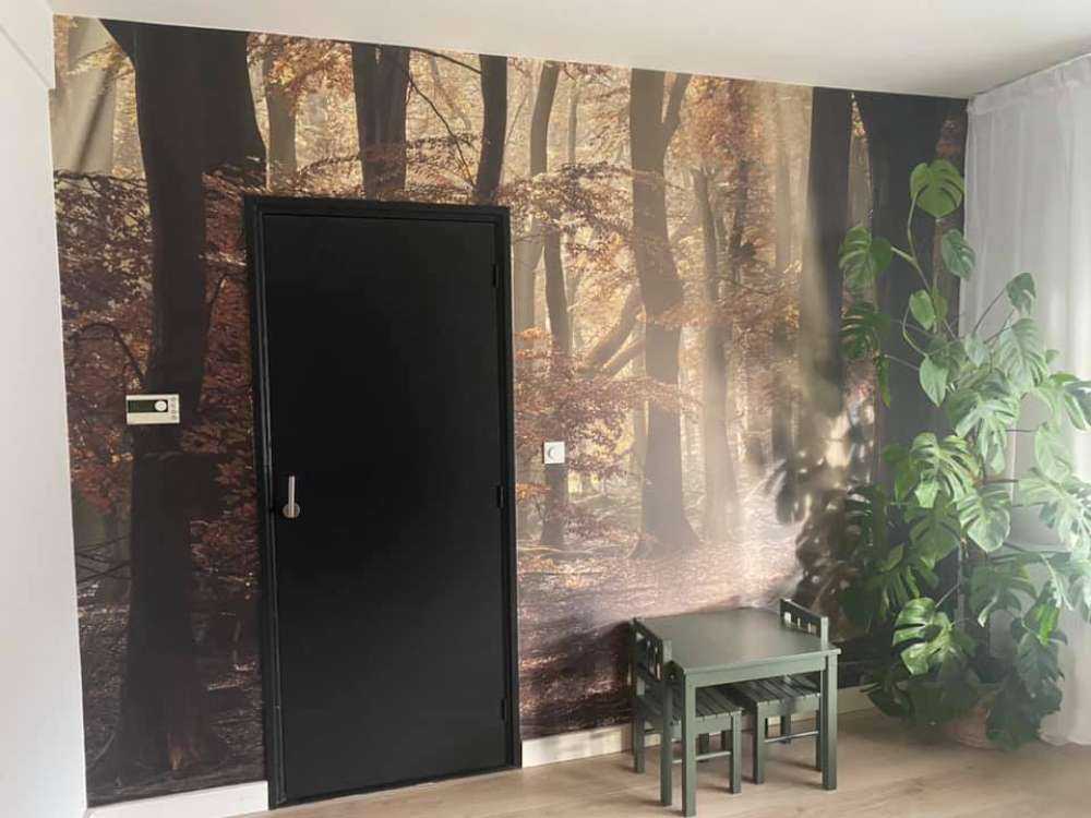 Jesienne kolory w lesie