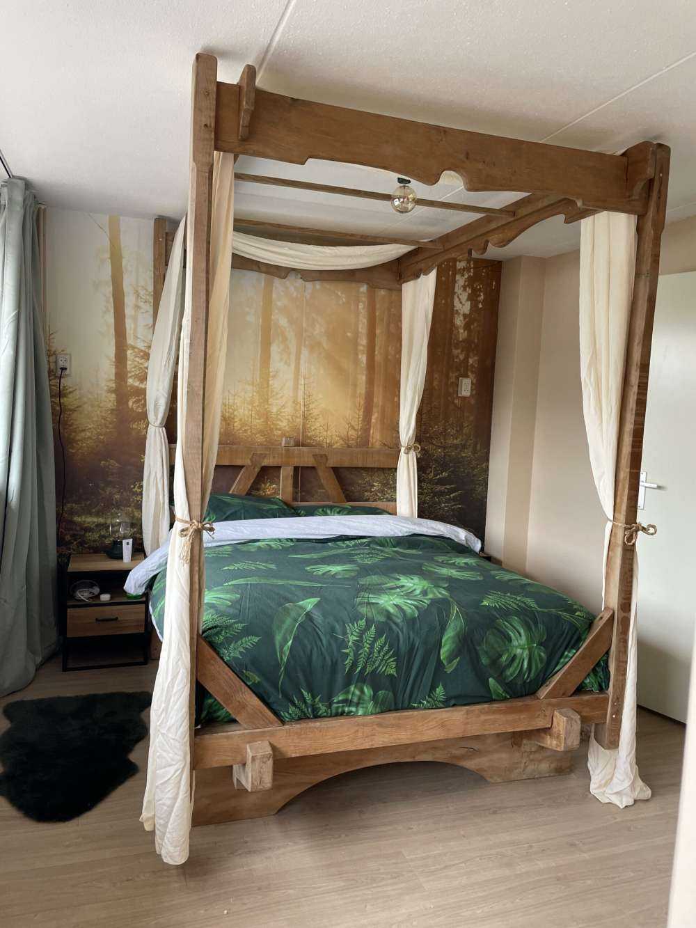 Promienie słońca przez las