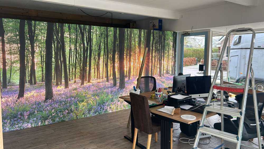 Leśna ścieżka o wschodzie słońca