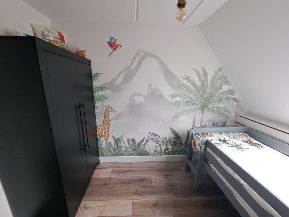 Różne zwierzęta w dżungli