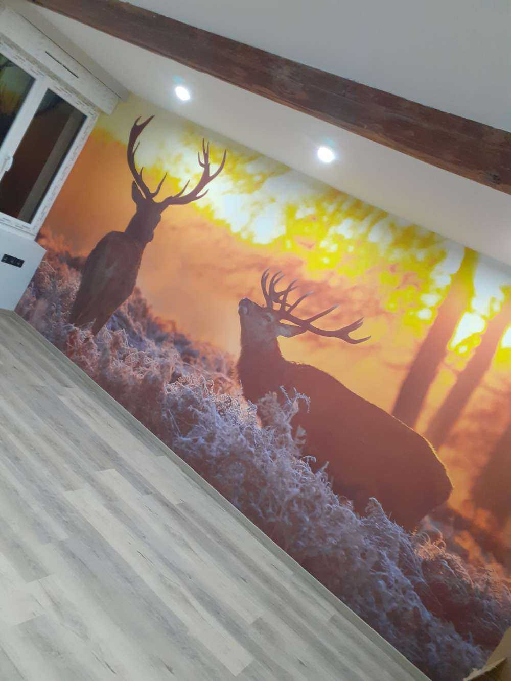 Jeleń o zachodzie słońca