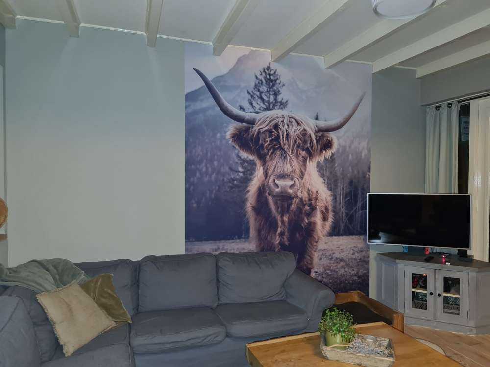 Szkocka rasa wyżynna przy lesie