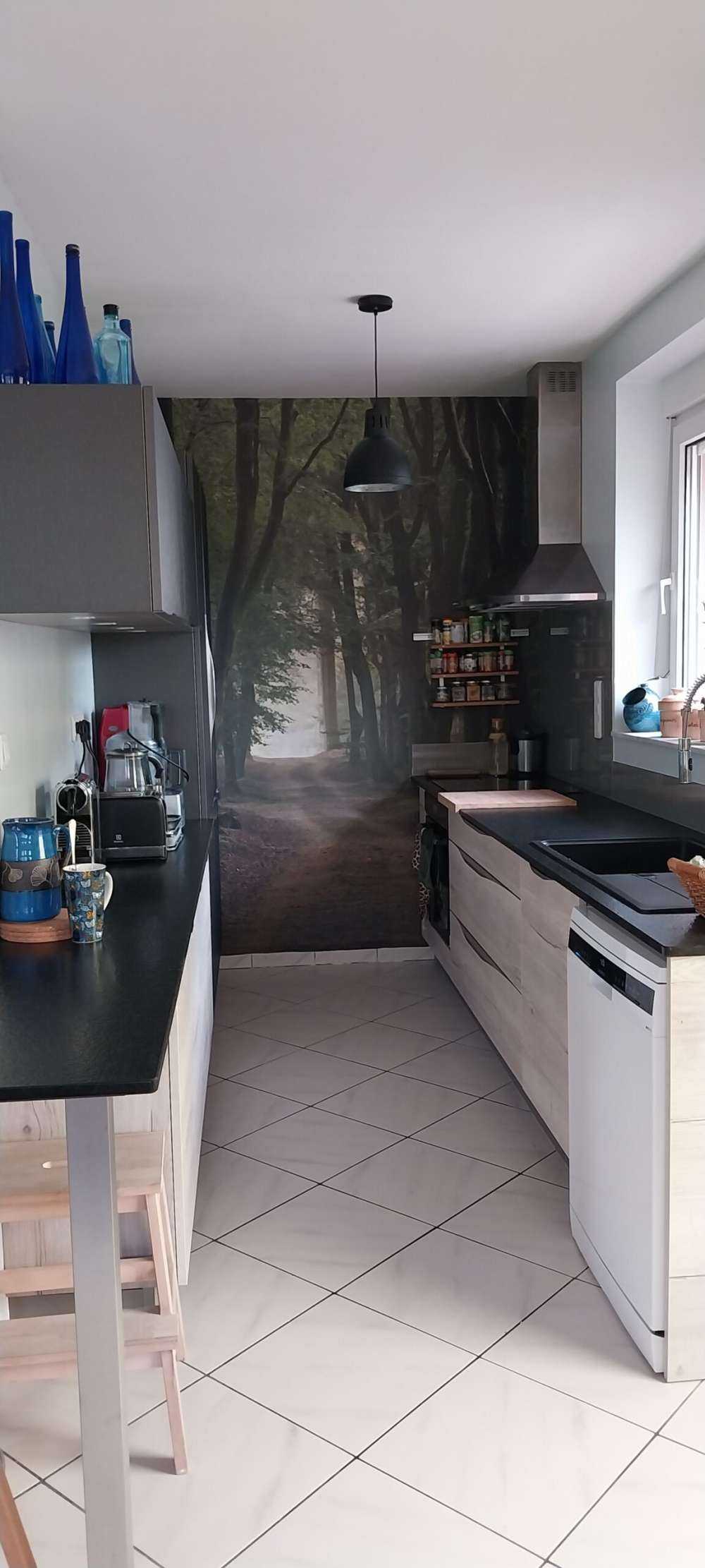 Droga piaskowa w lesie