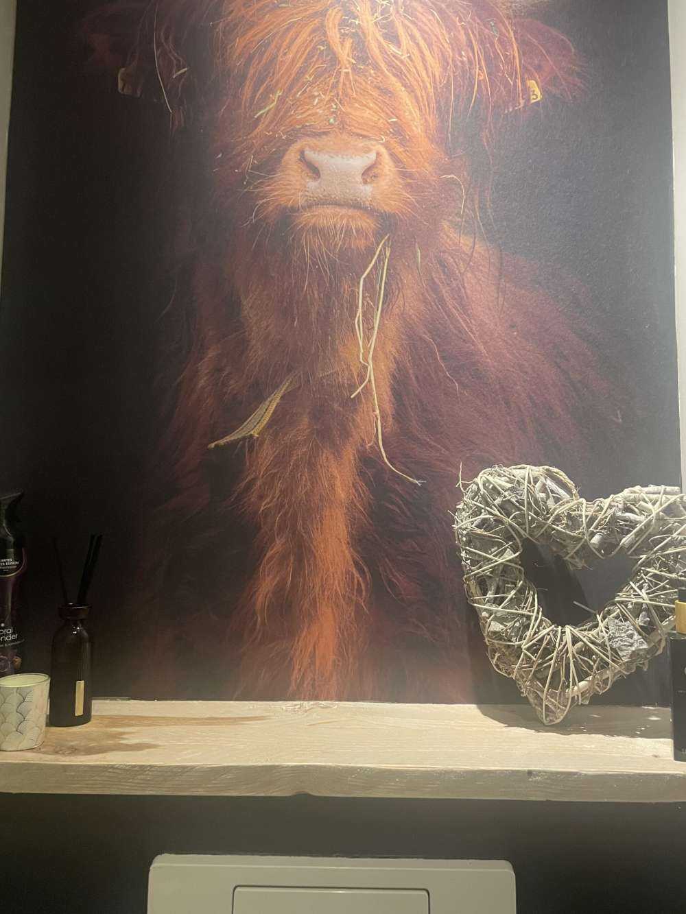 Portret szkockiego wyżynna