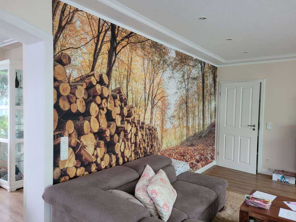 Pnie drzew w jesiennym lesie