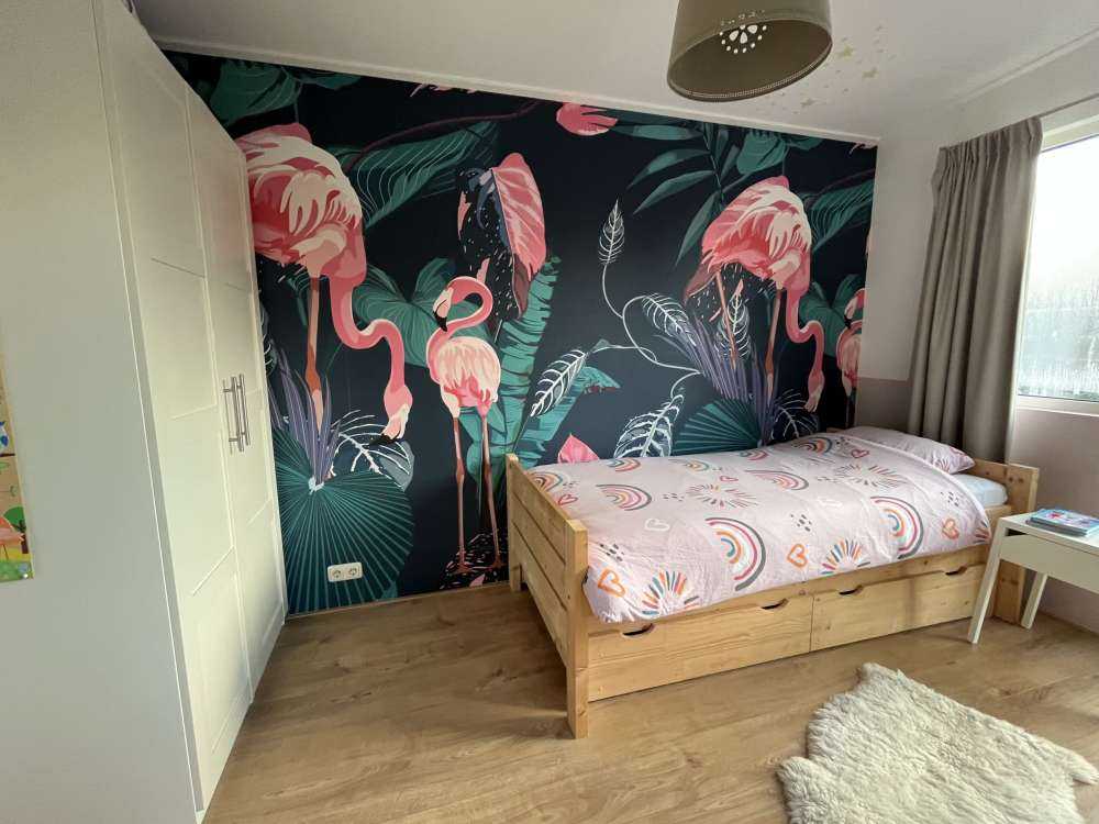 Dzikie różowe flamingi