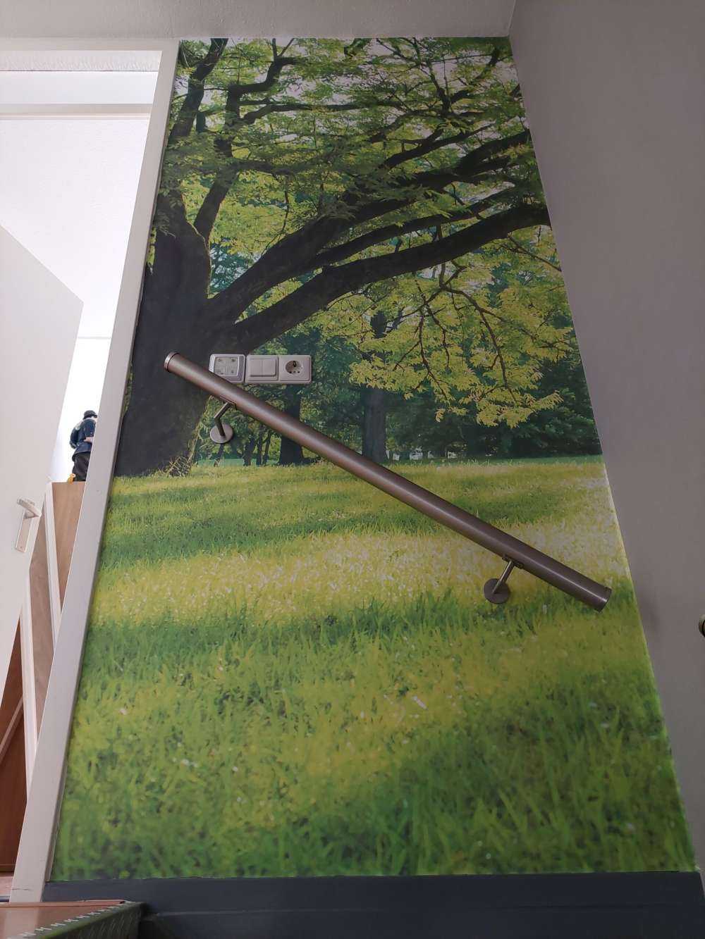 Piękne drzewo z zieloną trawą