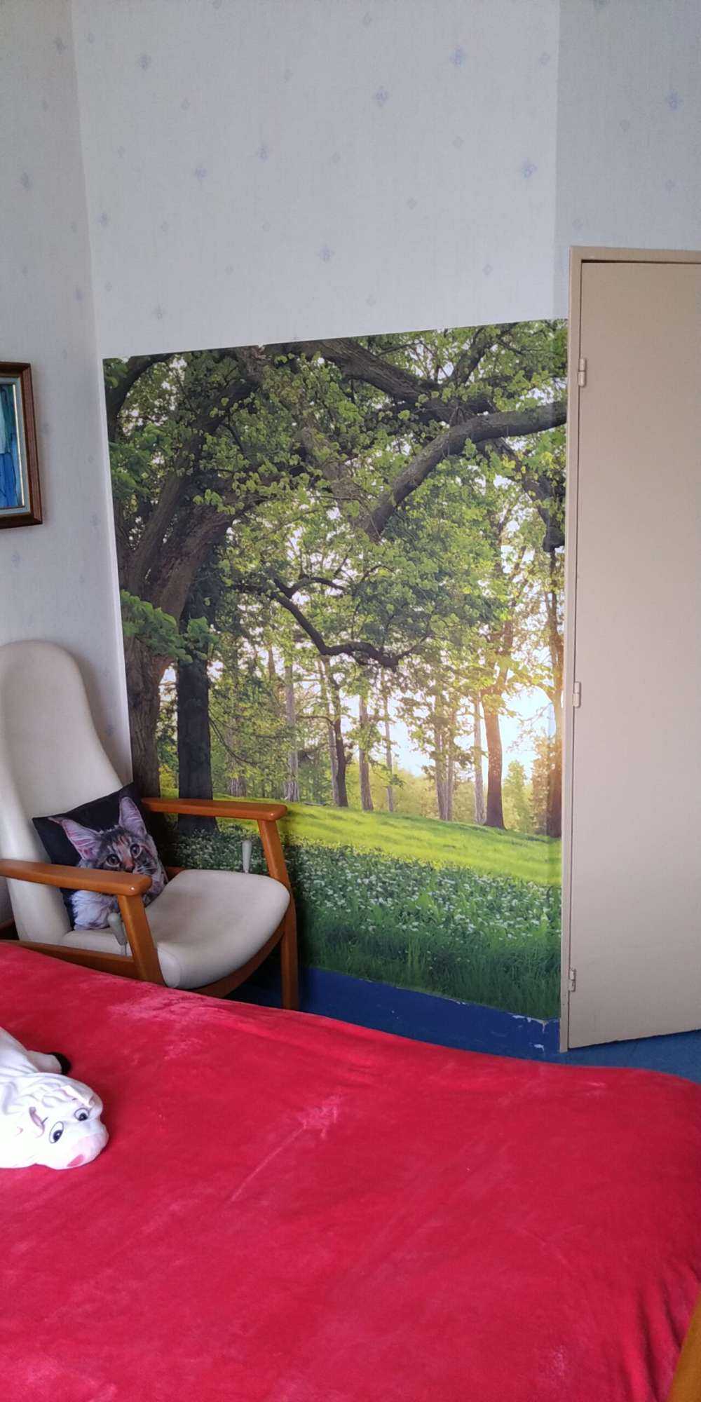 Otwarta przestrzeń w lesie