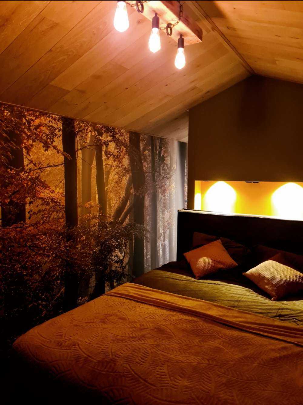 Jesienne kolory w lesie