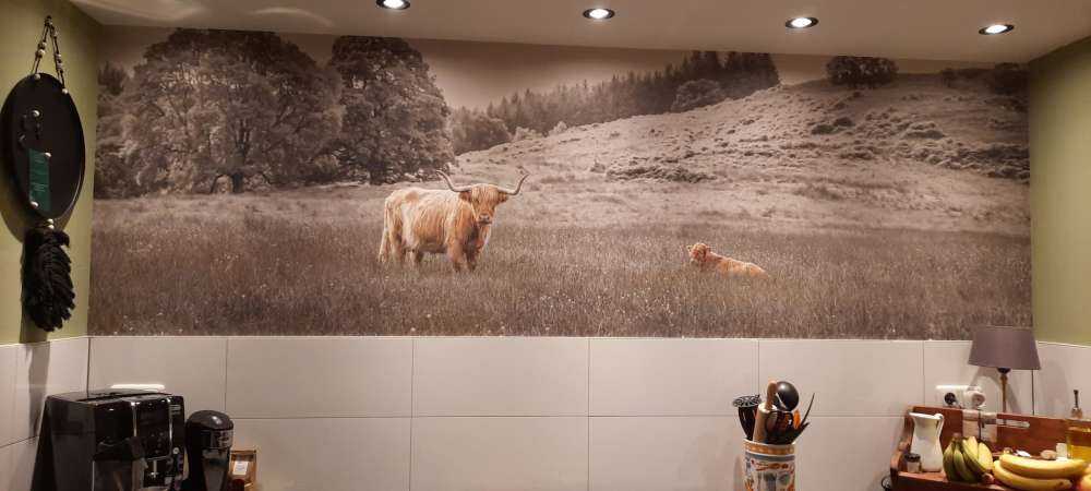 Szkocki wyżyn z cielakiem