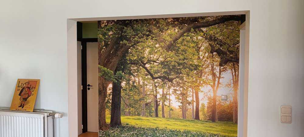 Otwarta przestrzeń w lesie