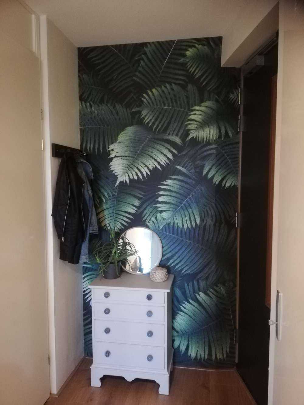 Duże liście palmowe