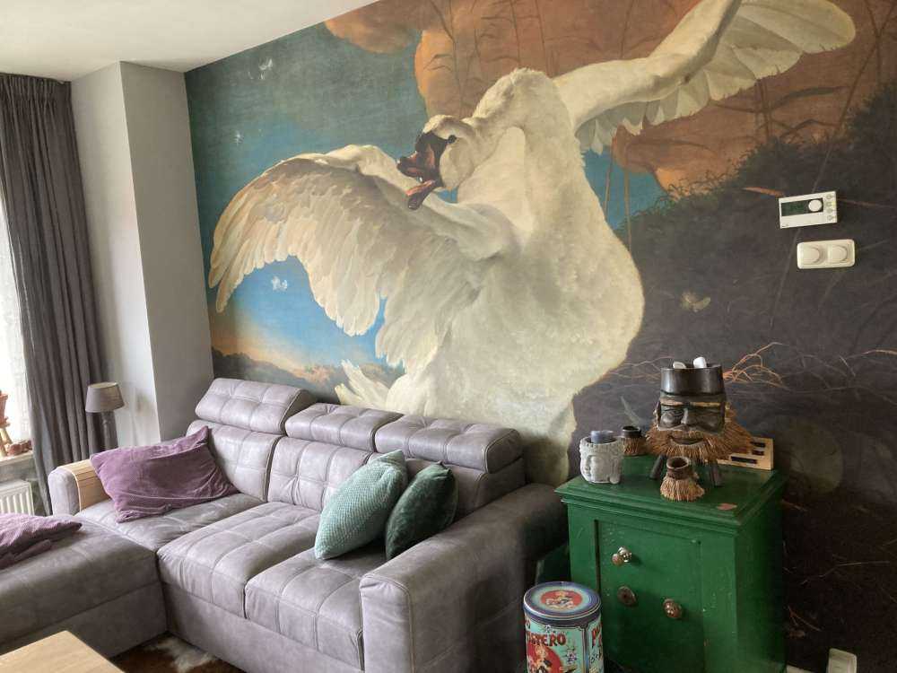 Zagrożony łabędź