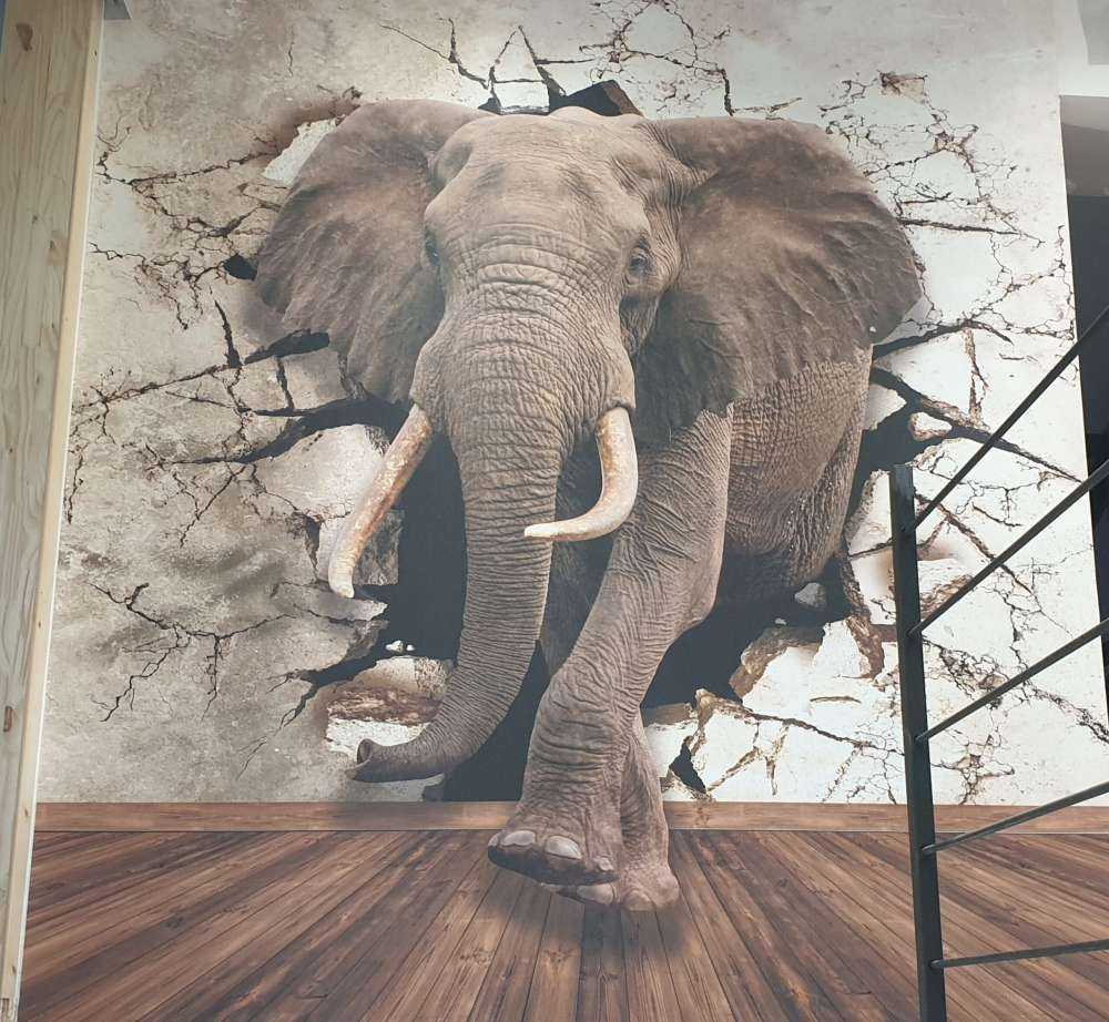 Wielki słoń z muru