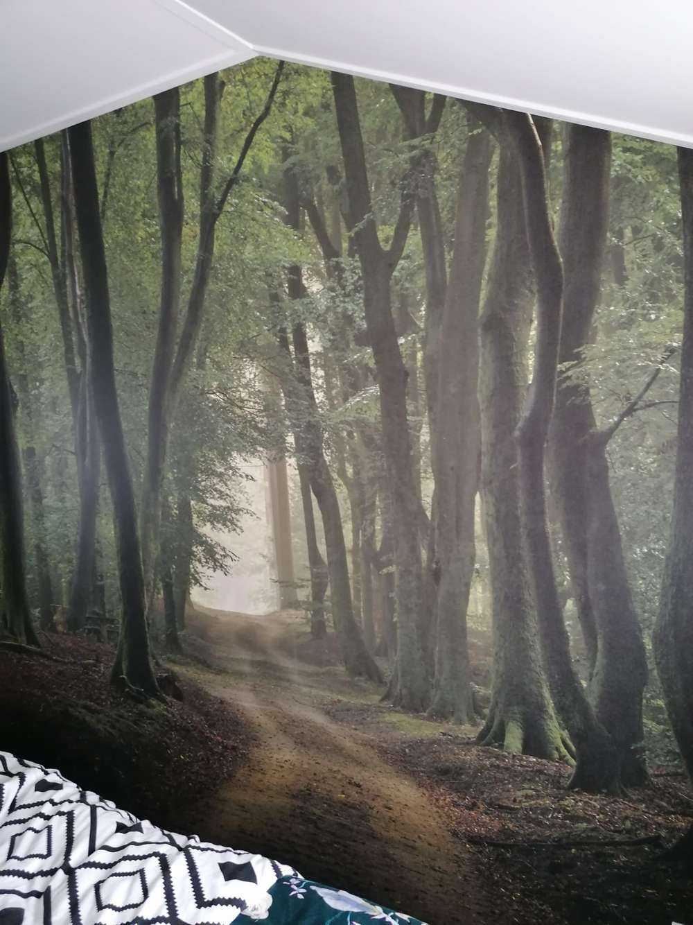 Droga piaskowa w lesie