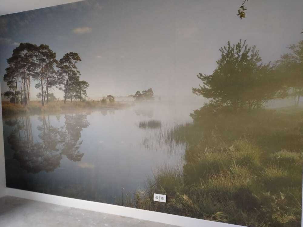 Refleksja na wrzosowiskach