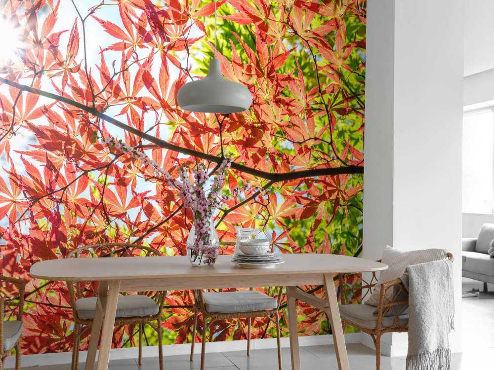 Czerwone jesienne liście