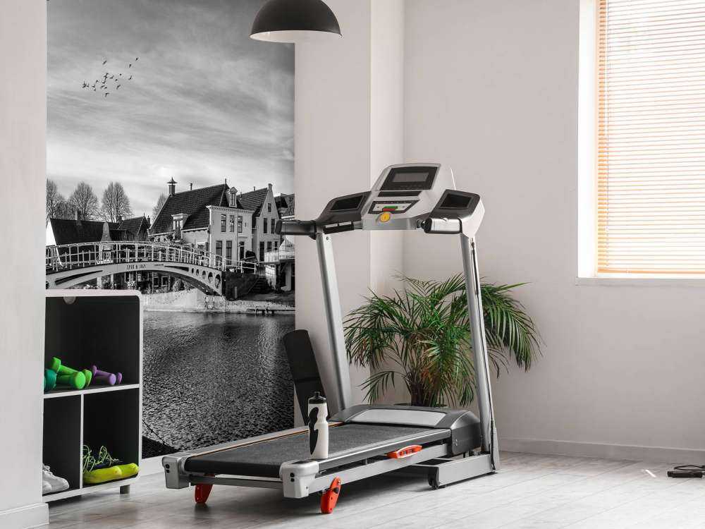 Miasto warowne Dokkum Most nad Klein Diep Fryzja 