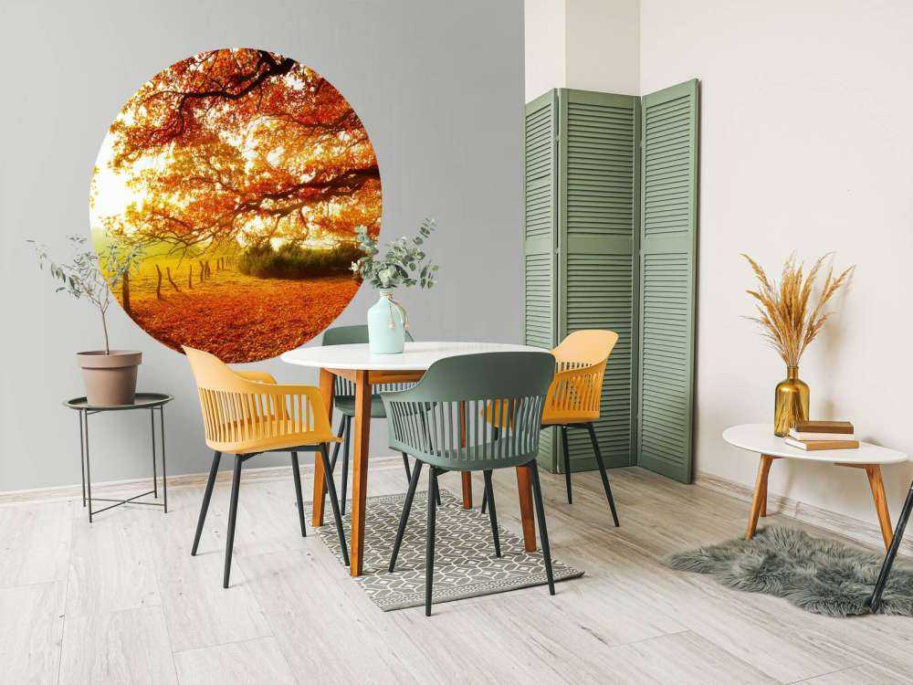 Jesienny krajobraz z lasem i łąką