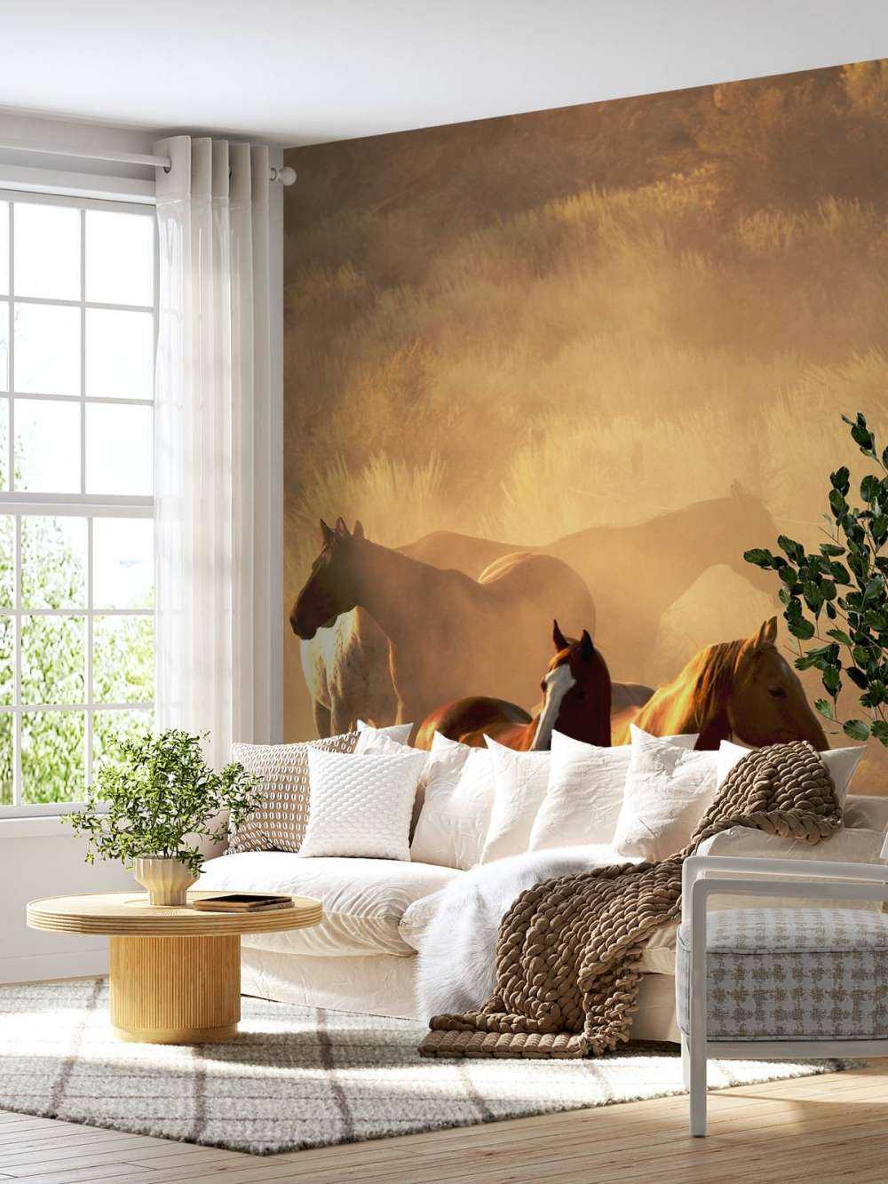 Konie podczas zachodu słońca