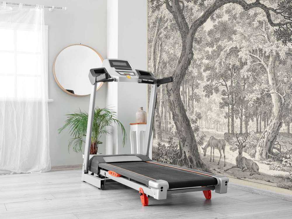 Widok na las z dwoma jeleniami