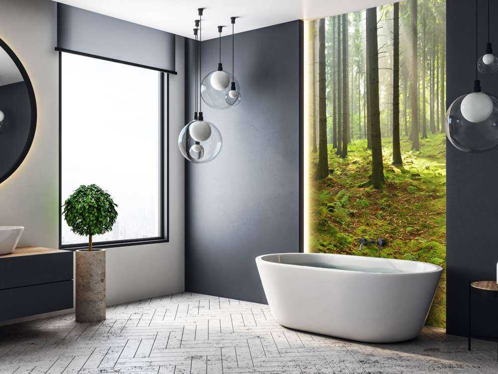 Las świerkowy ze światłem słonecznym