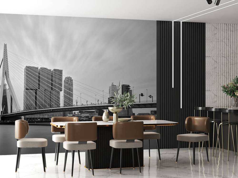 Mostek Erasmusa czarno-biały 