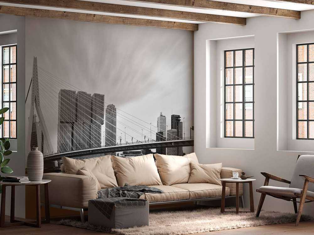 Mostek Erasmusa czarno-biały 