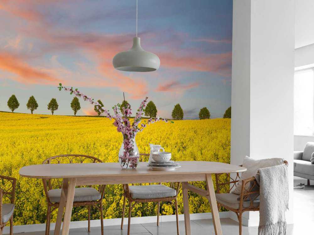 Pole pełne żółtych kwiatów