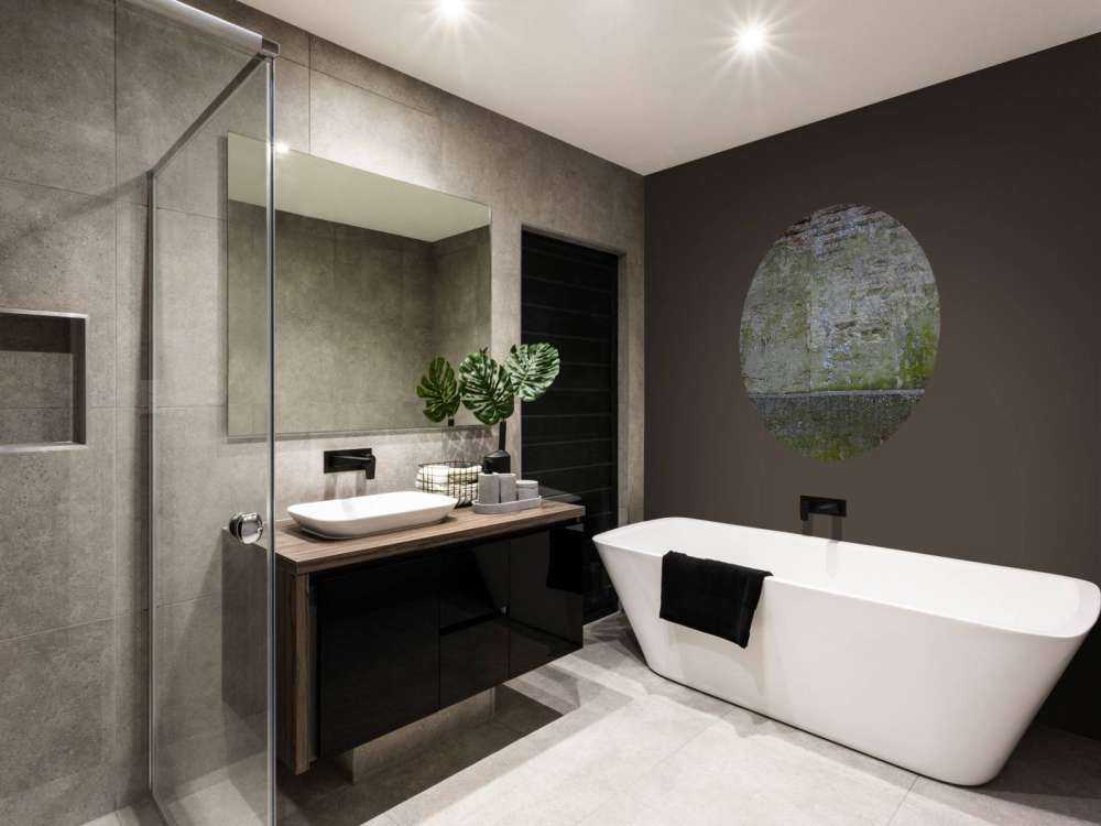 Mech na starej ścianie